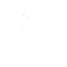 Search Icon